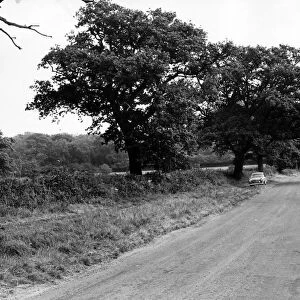 Gibbet Hill looking from Cryfield House Farm. 8th October 1964