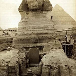 The Great Sphinx guarding the pyramids Egypt Statue Circa 1910