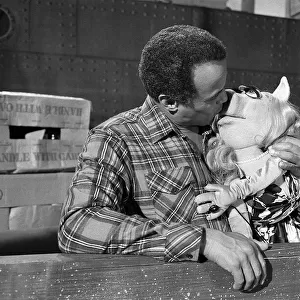Harry Belafonte joins Miss Piggy November 1978 from The Muppets in a kiss