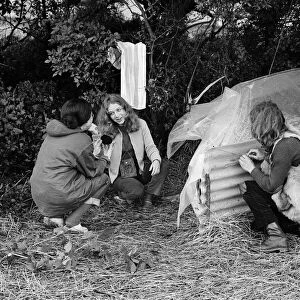 Isle of Wight Festival. A girl combing her hair. Left to right, Jutta Leidel, aged 17