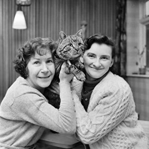 Jasper, the cat with two homes, seen here with Mrs. Whittaker (left) and Mrs