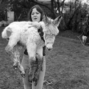 Jean Wooler and "Misty"the donkey. January 1975 75-00591-008