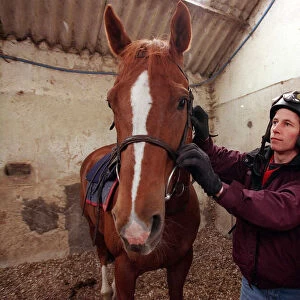 Jockey John McAuley cleaning bridle of the horse Serious Hurry in stables, June 1988