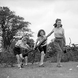 Landgirls gathering wood during WW2 - June 1940 Women doing mens jobs during