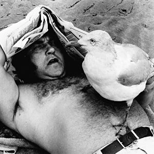 Les Dawson Lying on Bridlington Beach with a stuffed seagull on his chest dbase msi