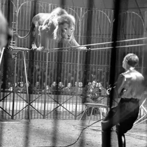 Bertram Mills Circus Print, Luton 1950 Bertram Mills Circus Print, Luton 1950