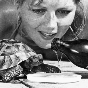 Shauna Kyle with Nippy the Beer-Drinking Tortoise Print 1977 Shauna Kyle with Nippy the Beer-Drinking Tortoise Print 1977
