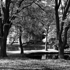 Stewart Park, Marton, Middlesbrough, Inghilterra, 30° giugno 1980. Stewart Park, Marton, Middlesbrough, Inghilterra, 30° giugno 1980.