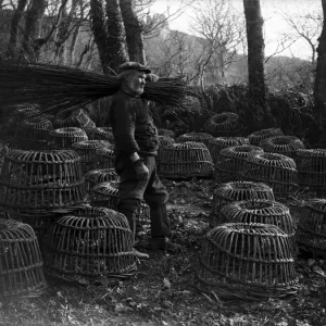 The Crab Pot Industry at Penberth, Cornwall Print 1923 The Crab Pot Industry at Penberth, Cornwall Print 1923