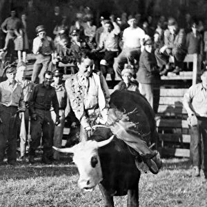 Miss Hattie Taylor, an Army nurse from Texas, riding a bucking steer. August 1944 P012220