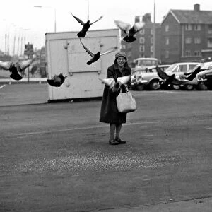Miss Helen Fleming, of Liverpool, feeds the pigeons near her home
