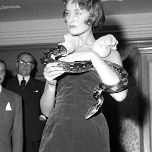 Model Judy Brennand with an eight foot long python around her neck October 1957