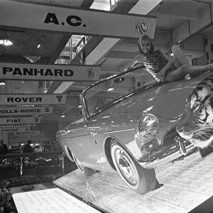 Models draped over the bonnet of an AC Tiger car at the British International Motor Show