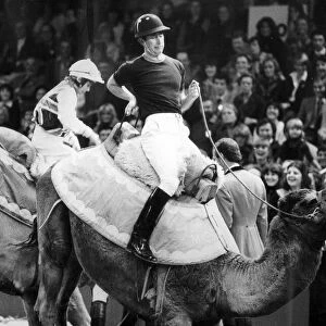 THE PRINCE OF WALES DISMOUNTS FROM A CAMEL at London Olympia. 14 / 12 / 1979