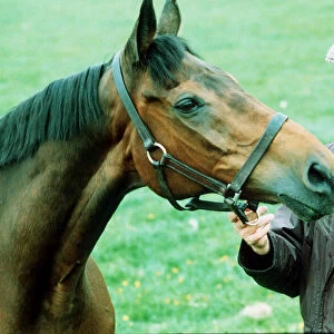 Red Rum racehorse 1990