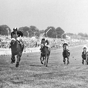 Mill Reef extreme left seen here thundering up the hill to ein the 1971 Derby