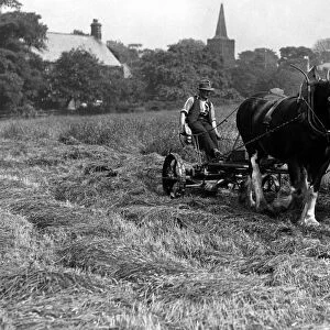 Rural Farming Scene, South Gosforth, Newcastle upon Tyne, England, 11th June 1937