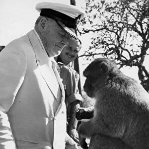 Sir Winston Churchill with barbary ape during visit to Gibraltar - October 1958