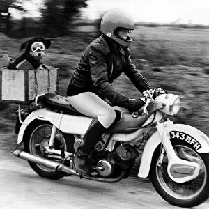 Sue Maddock 21 and her dog Moth who she transports around in the pillion box on her