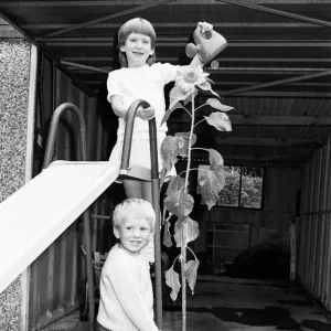 A tall story, Green-fingered Beaumont Park youngsters Paul