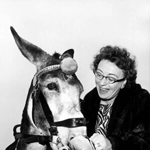 Thora Hird actress holds a trophy to the mouth of a donkey, 1962