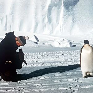 Trans-Antarctic expedtion member taking a photograph of a Penguin Explorers meet