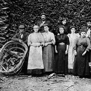 Workers from Amington Road Tannery, Tanyard Lane, Acocks Green, Birmingham, Circa 1905