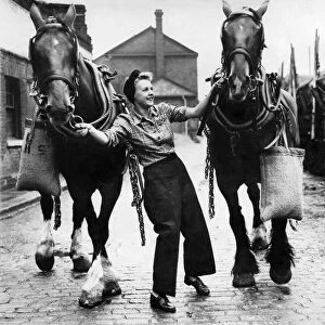 World War II. Women holding on to a team of heavy horses in a coal yard in the North of