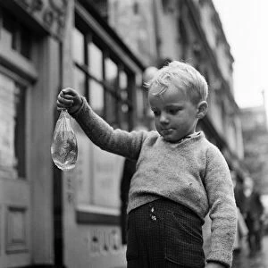 Three year old Andrew Anderson, who settled for a goldfish at the oldest pet shop in