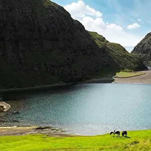 Amazing summer view on Pollurin Laguna in Saksun village. Beauty landscape with two horses on lush green meadow and high mountains
