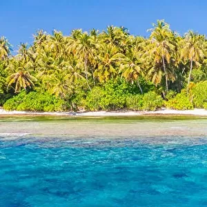 Amazing tropical beach in Maldives with few palm trees and blue lagoon