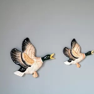 Flying duck ornaments on wall