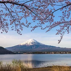 Mt. Fuji, Japan from Lake kawaguchi in spring