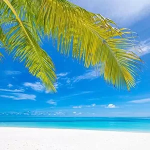 Vertical wide paradise beach panorama background with coco palms. Sunny summer scenery, beach landscape, paradise island concept