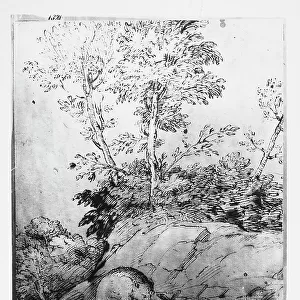 Landscape with animals. Drawing by Titian preserved in the Room of Drawings and Prints in the Museum of the Uffizi