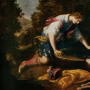 Narcissus at the pool; painting by Francesco Curradi. Galleria Palatina, Palazzo Pitti, Florence
