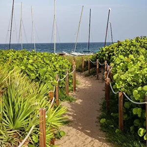 Florida, South Florida, Delray Beach, pathway leading to ocean