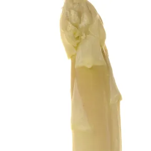 Asparagus
