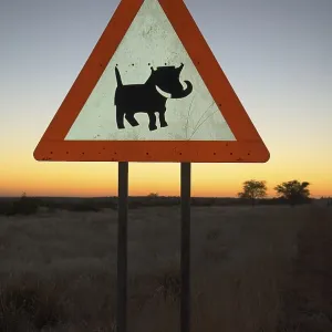 Caution Label to Beware of Warthogs Print, Windhoek, Namibia Caution Label to Beware of Warthogs Print, Windhoek, Namibia