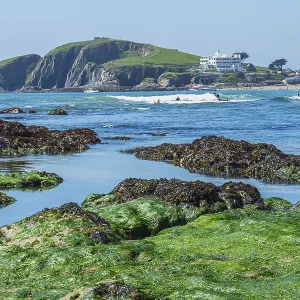 Bantham Beach Cliffs Print, Devon Coastline, England Bantham Beach Cliffs Print, Devon Coastline, England