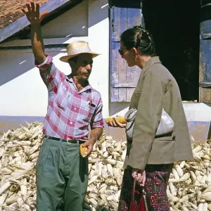 Print of Farmer Explaining Sweetcorn Growth, Fazenda Sant Anna, 1962 Print of Farmer Explaining Sweetcorn Growth, Fazenda Sant Anna, 1962