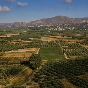 Green Fields with Mountains Print, Crete, Greece Green Fields with Mountains Print, Crete, Greece