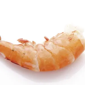 King Prawn Print by imageBROKER King Prawn Print by imageBROKER