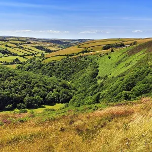 Exmoor National Park Landscape Print, Devon, England