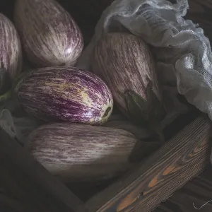Vintage Print of Purple Graffiti Eggplants in Rustic Setting Vintage Print of Purple Graffiti Eggplants in Rustic Setting