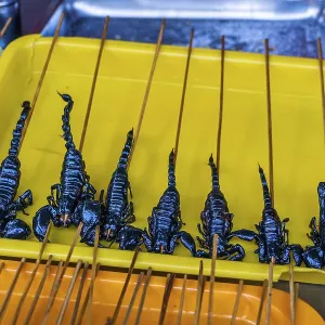 Insetti arrostiti, fritti e crudi. Insetti arrostiti, fritti e crudi.
