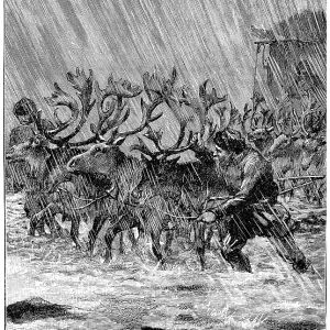 Vintage Engraved Illustration Print - Cesar Cascabel, 1890 Vintage Engraved Illustration Print - Cesar Cascabel, 1890