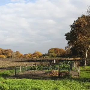 5 Nov 2007