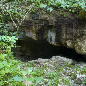 General Davis Cave Print, West Virginia General Davis Cave Print, West Virginia