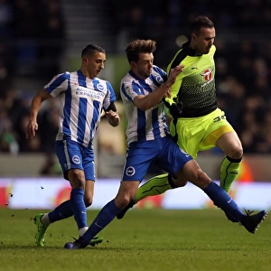 Sky Bet Championship Fine Art Print Collection: Brighton and Hove Albion v Reading